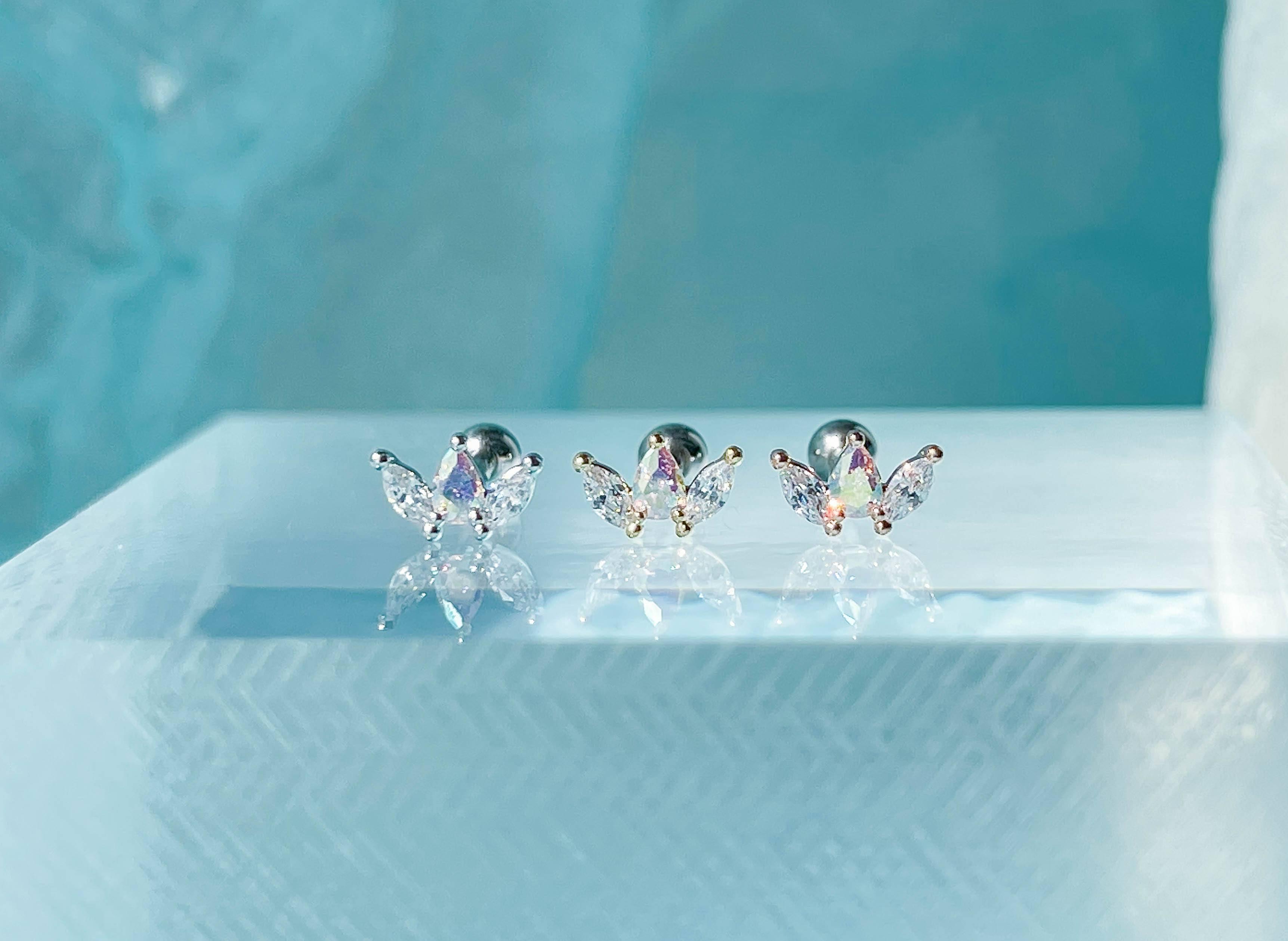 Different (ピアス/ピアッシング) Piercing anything else