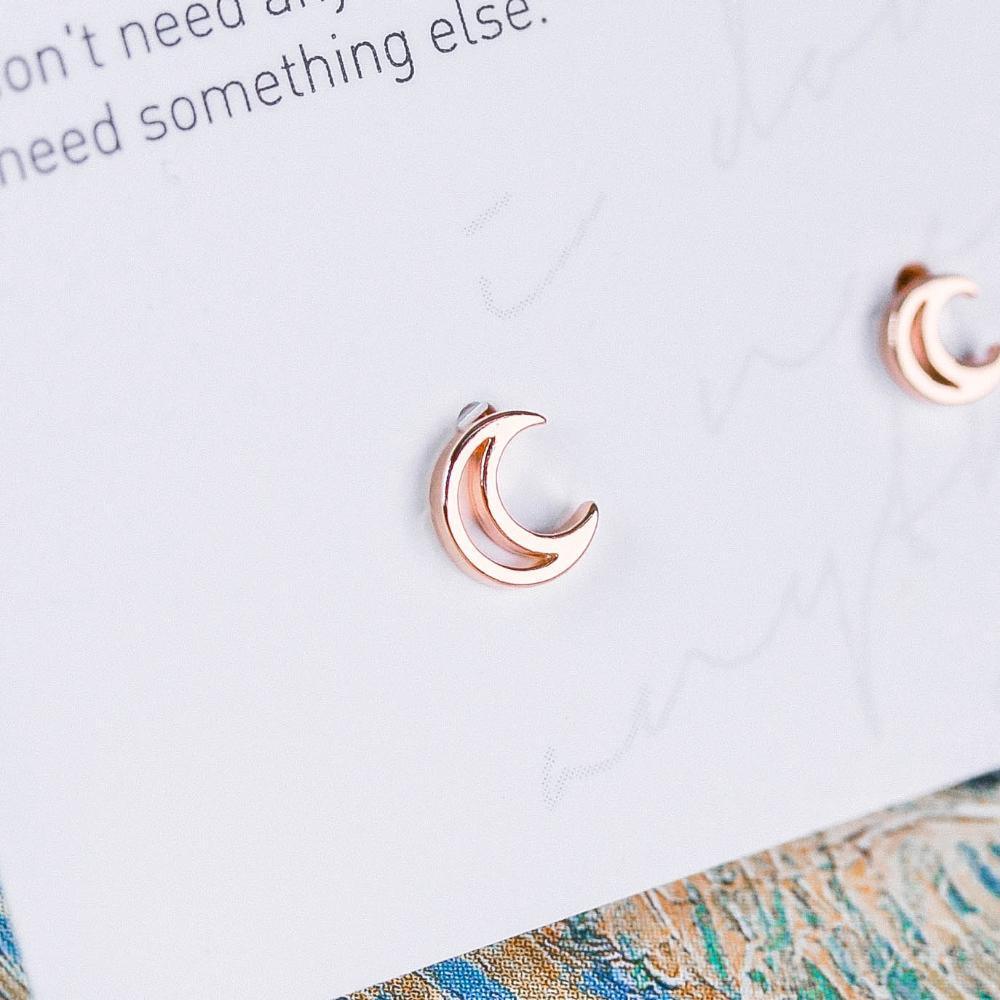 Gogh's Night ピアス Earrings anything else