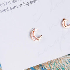 Gogh's Night ピアス Earrings anything else
