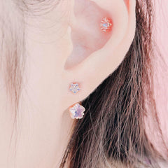 Heart Fluttering (ピアス/ピアッシング) Piercing anything else