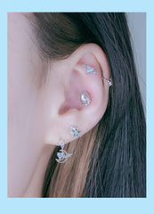 Heart Wing(ピアス/ピアッシング) Piercing anything else