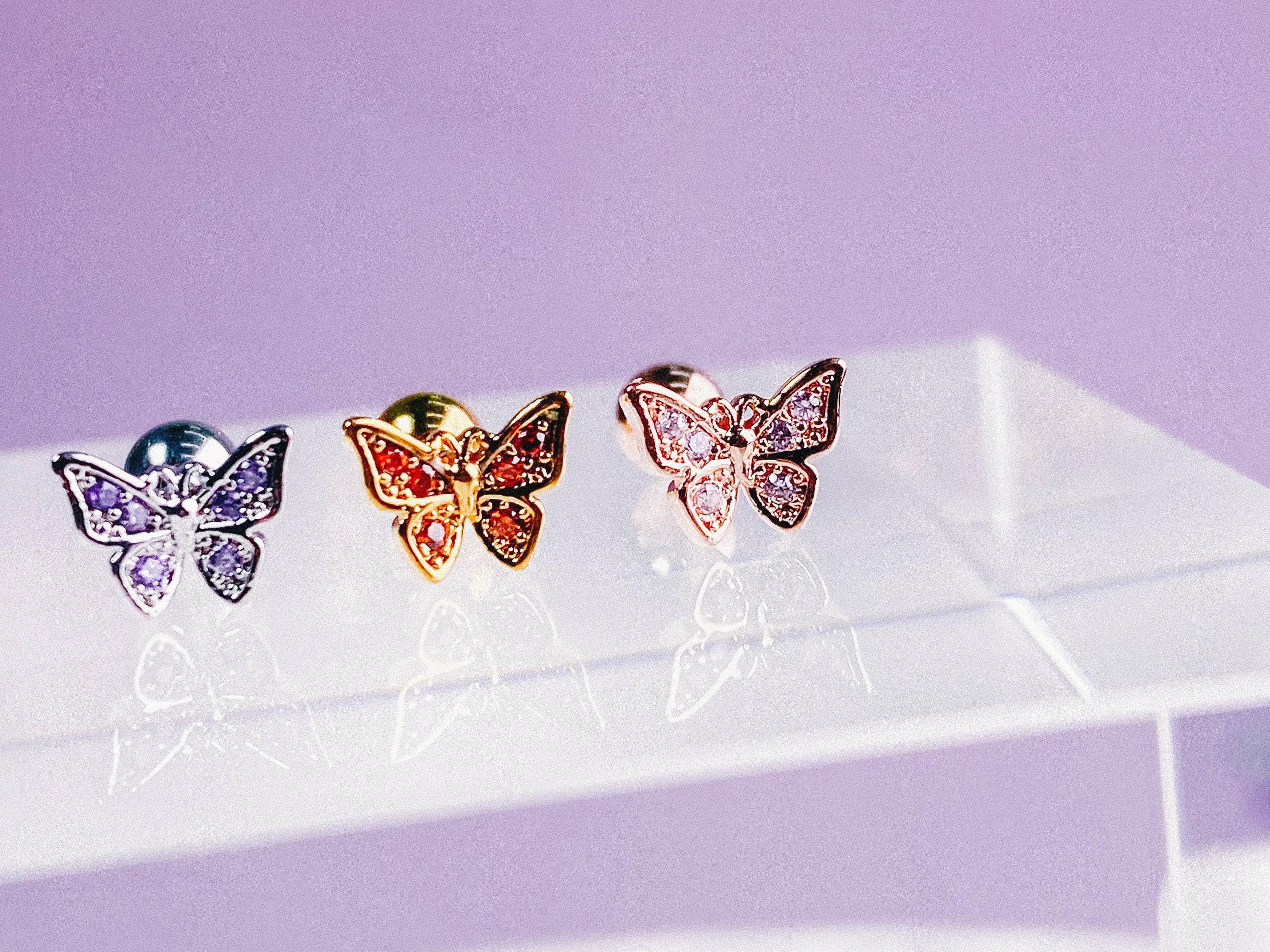 Horang Nabi (ピアス/ピアッシング) Piercing anything else