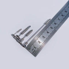 フェイクねじ ピアッシング Piercing from lizzy