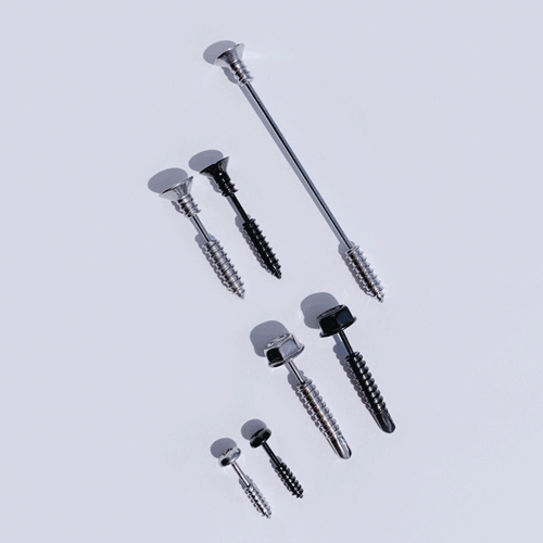 フェイクねじ ピアッシング Piercing from lizzy