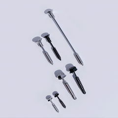 フェイクねじ ピアッシング Piercing from lizzy