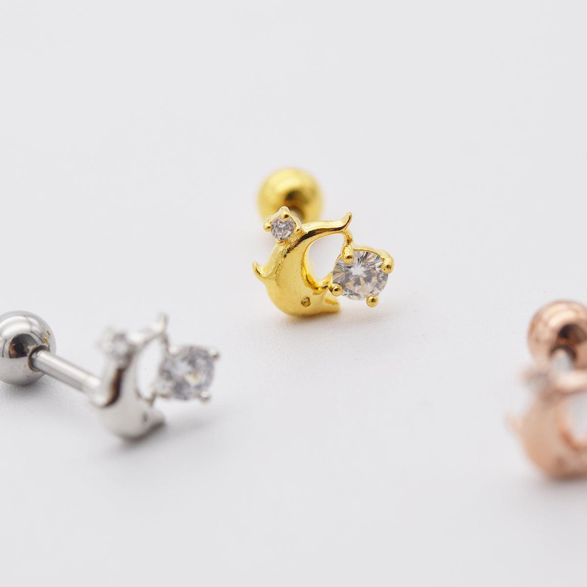 キュービック抱いたイルカピアッシング Piercing 10000won