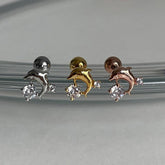 キュービック抱いたイルカピアッシング Piercing 10000won