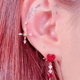 Loyal(ピアッシング/ピアス/イヤリング) Piercing anything else