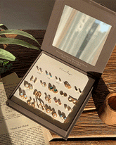 プレミアムマンスリーピアスミラーボックス Earrings VIEWLAP