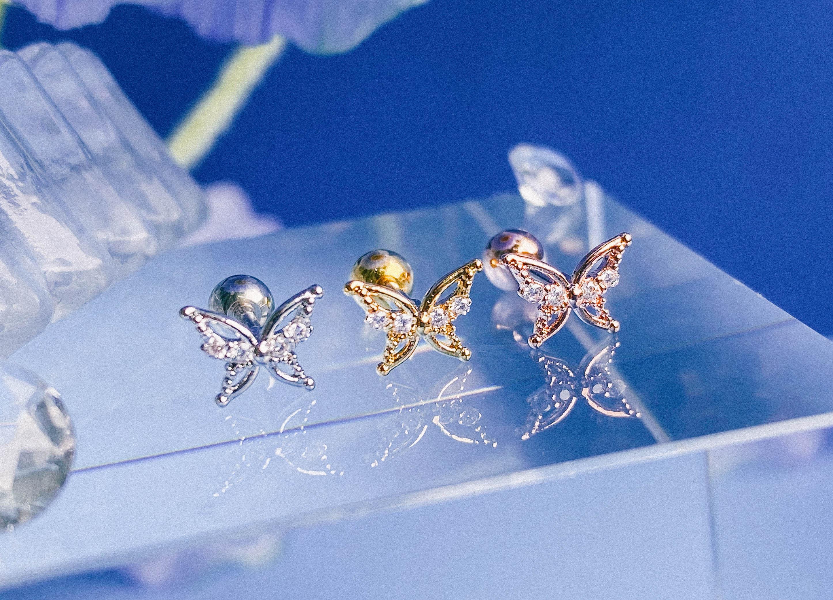 Raise (ピアス/ピアッシング) Piercing anything else