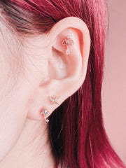 Raise (ピアス/ピアッシング) Piercing anything else