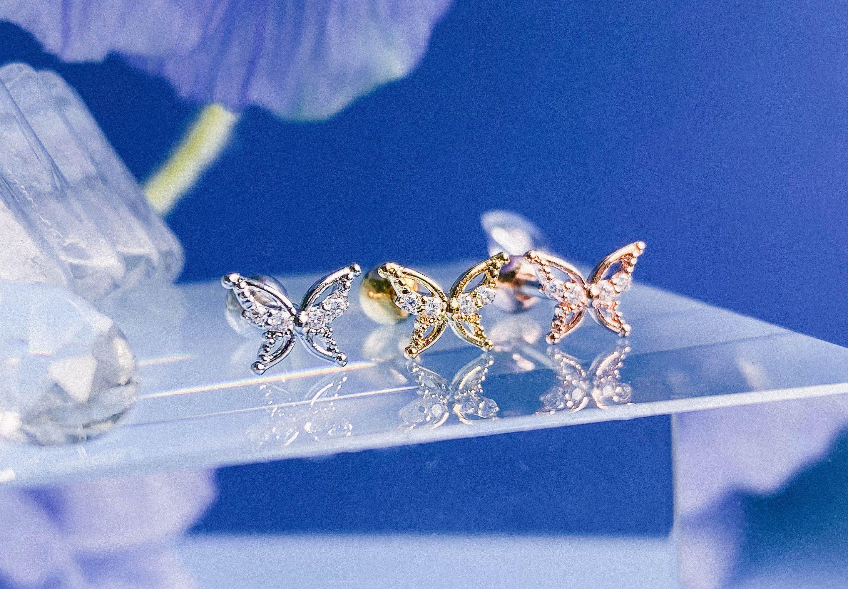 Raise (ピアス/ピアッシング) Piercing anything else