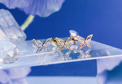 Raise (ピアス/ピアッシング) Piercing anything else