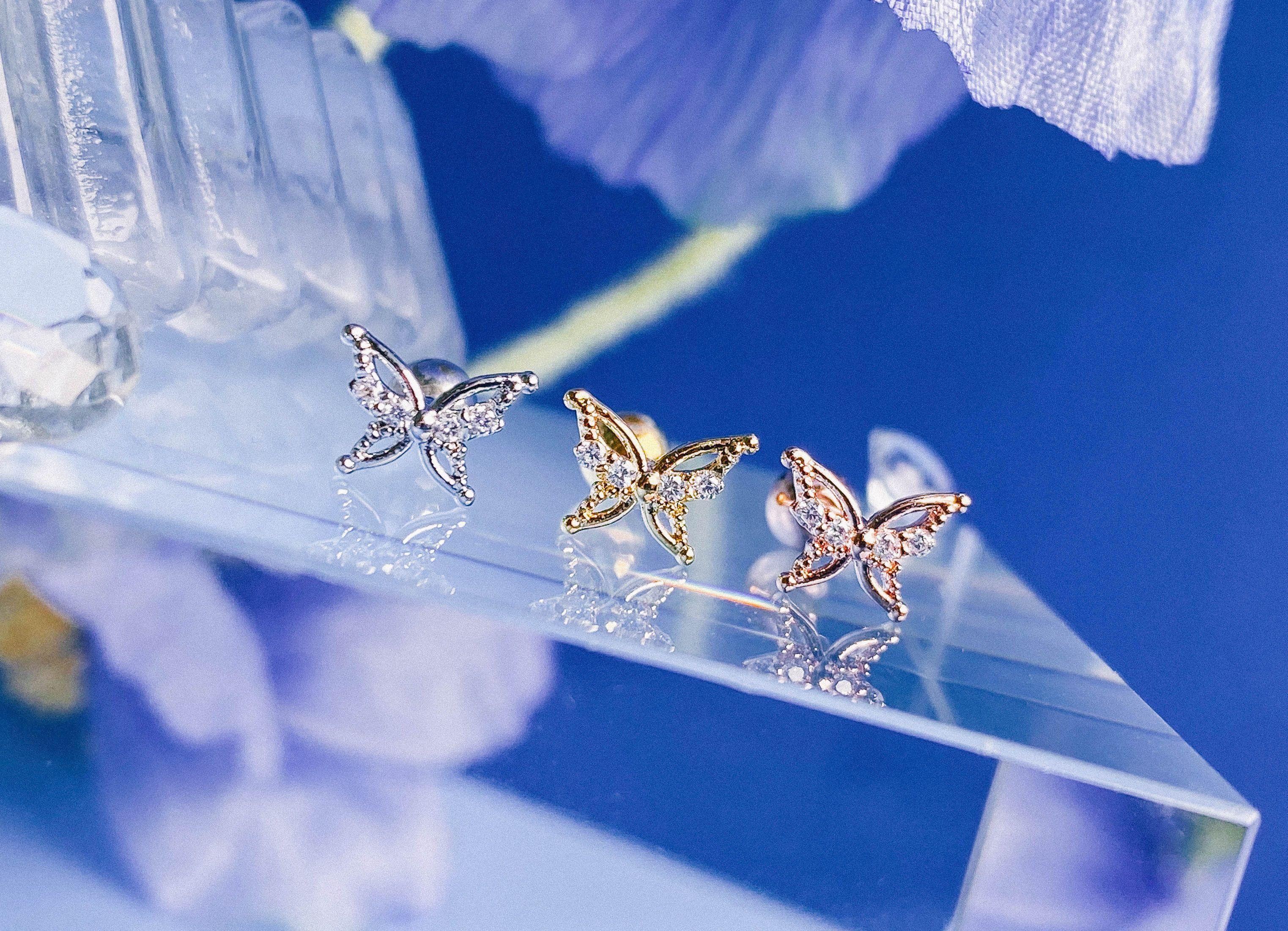 Raise (ピアス/ピアッシング) Piercing anything else