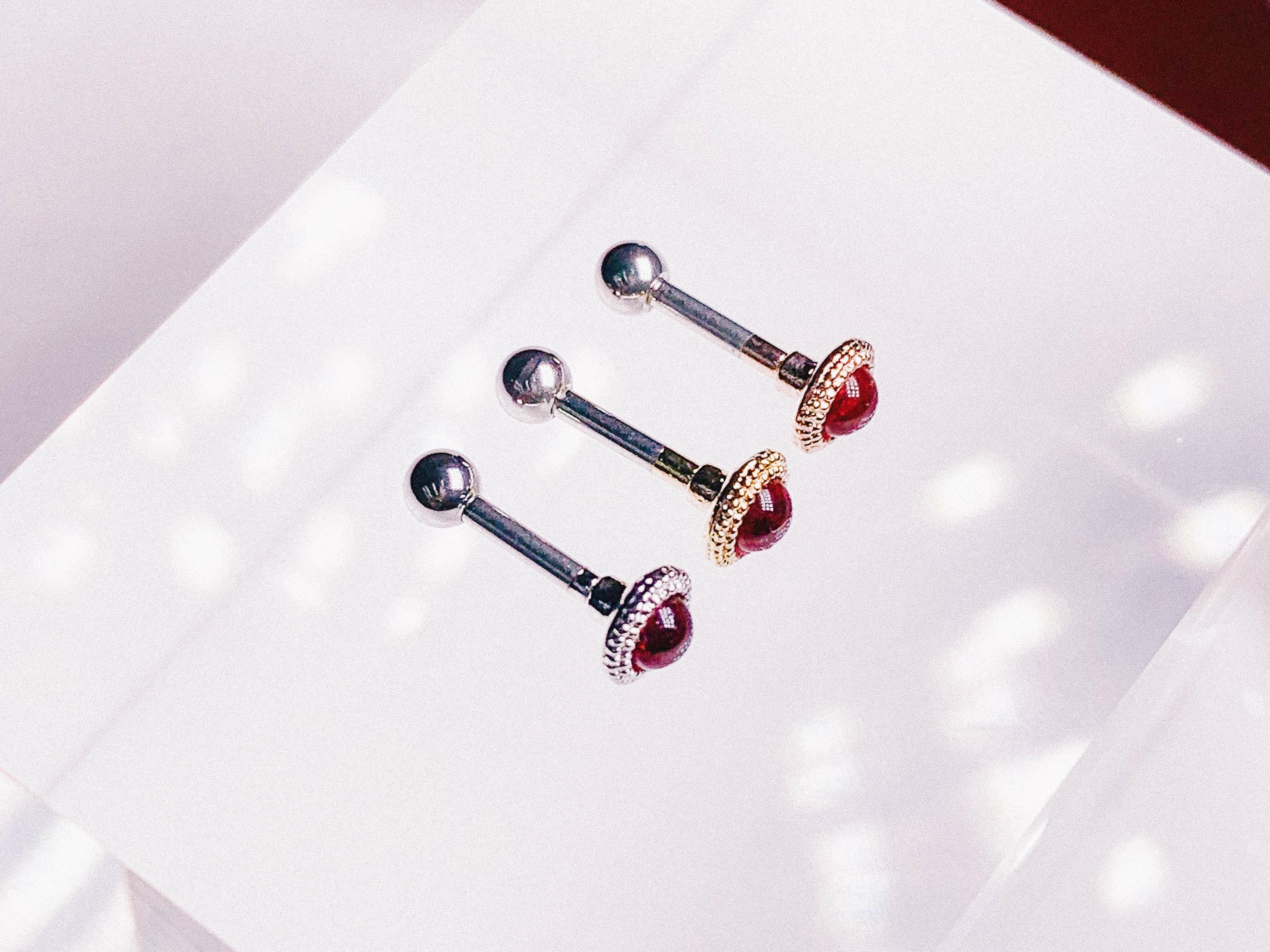 RED Shines (ピアス/ピアッシング) Piercing anything else