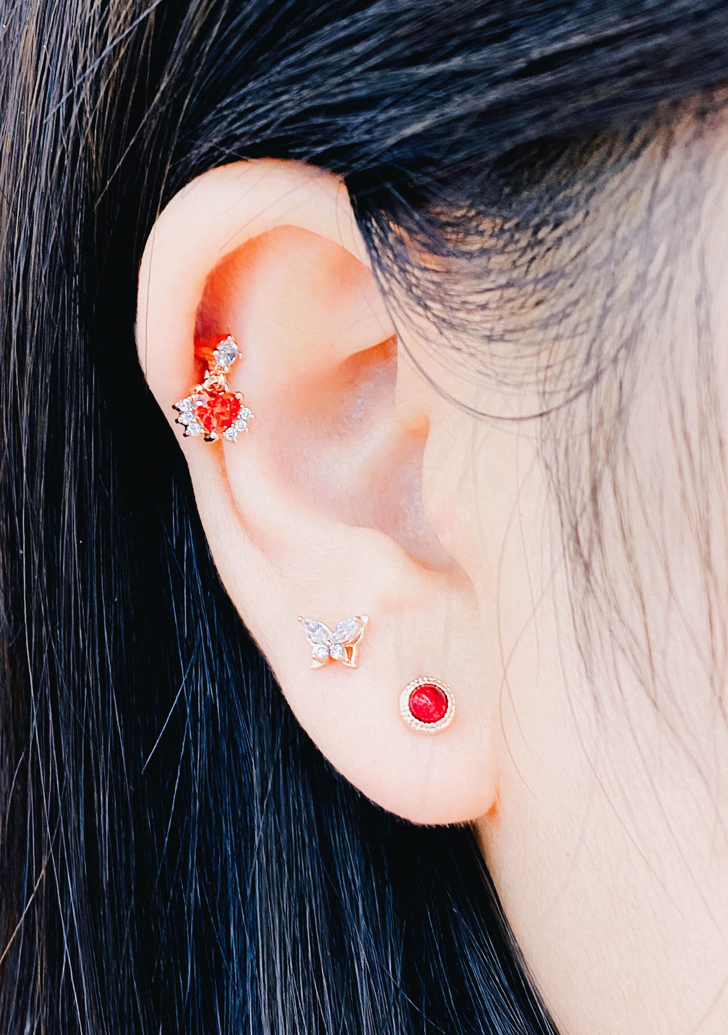 RED Shines (ピアス/ピアッシング) Piercing anything else