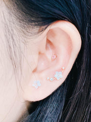 Sakura no Eda(ピアス/ピアッシング) Piercing anything else