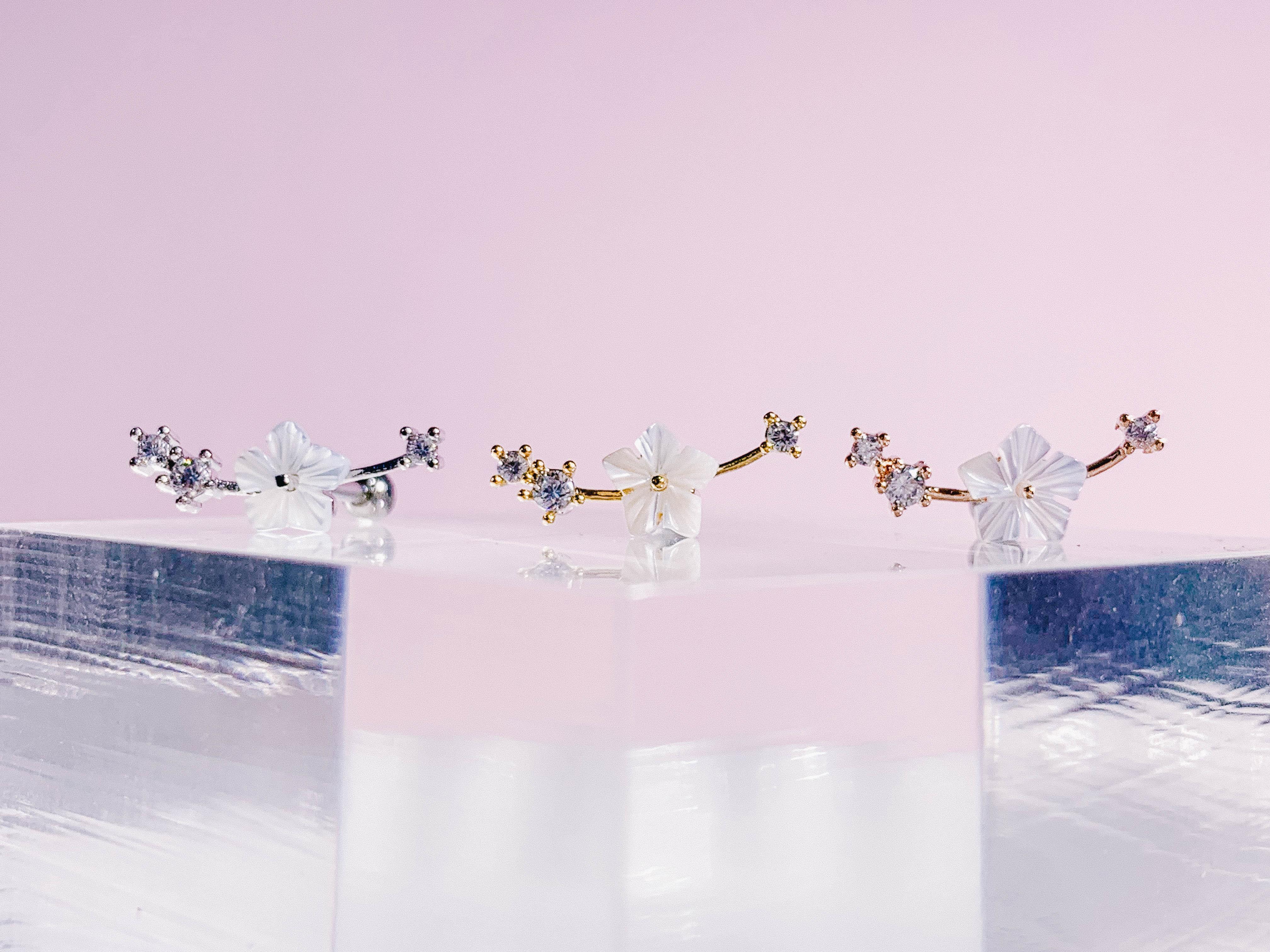 Sakura no Eda(ピアス/ピアッシング) Piercing anything else