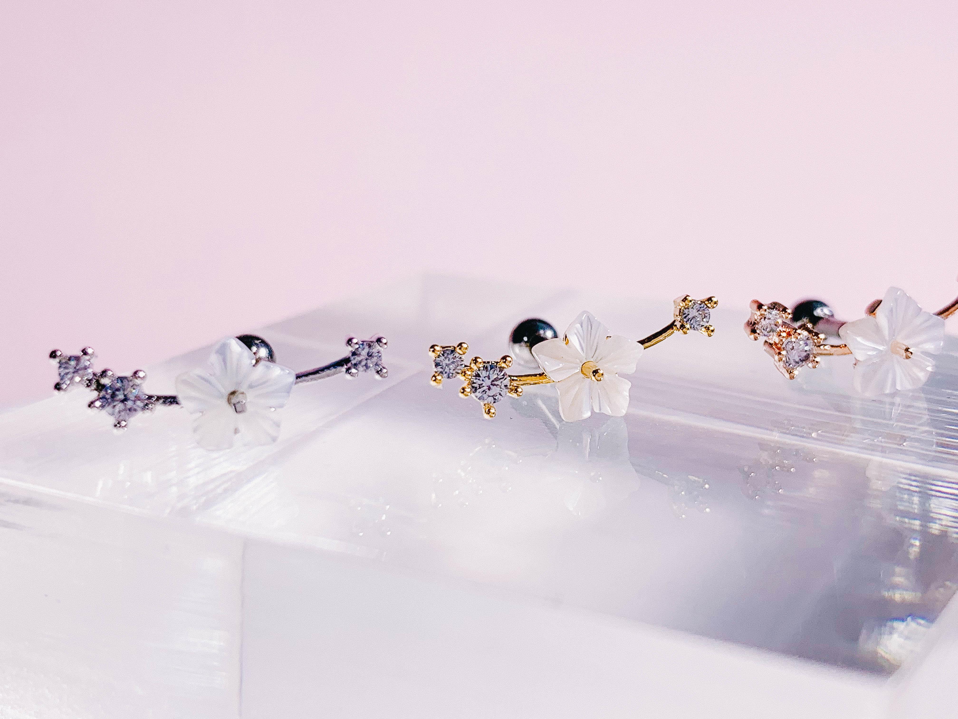 Sakura no Eda(ピアス/ピアッシング) Piercing anything else