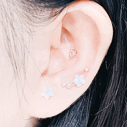 Sakura no Eda(ピアス/ピアッシング) Piercing anything else