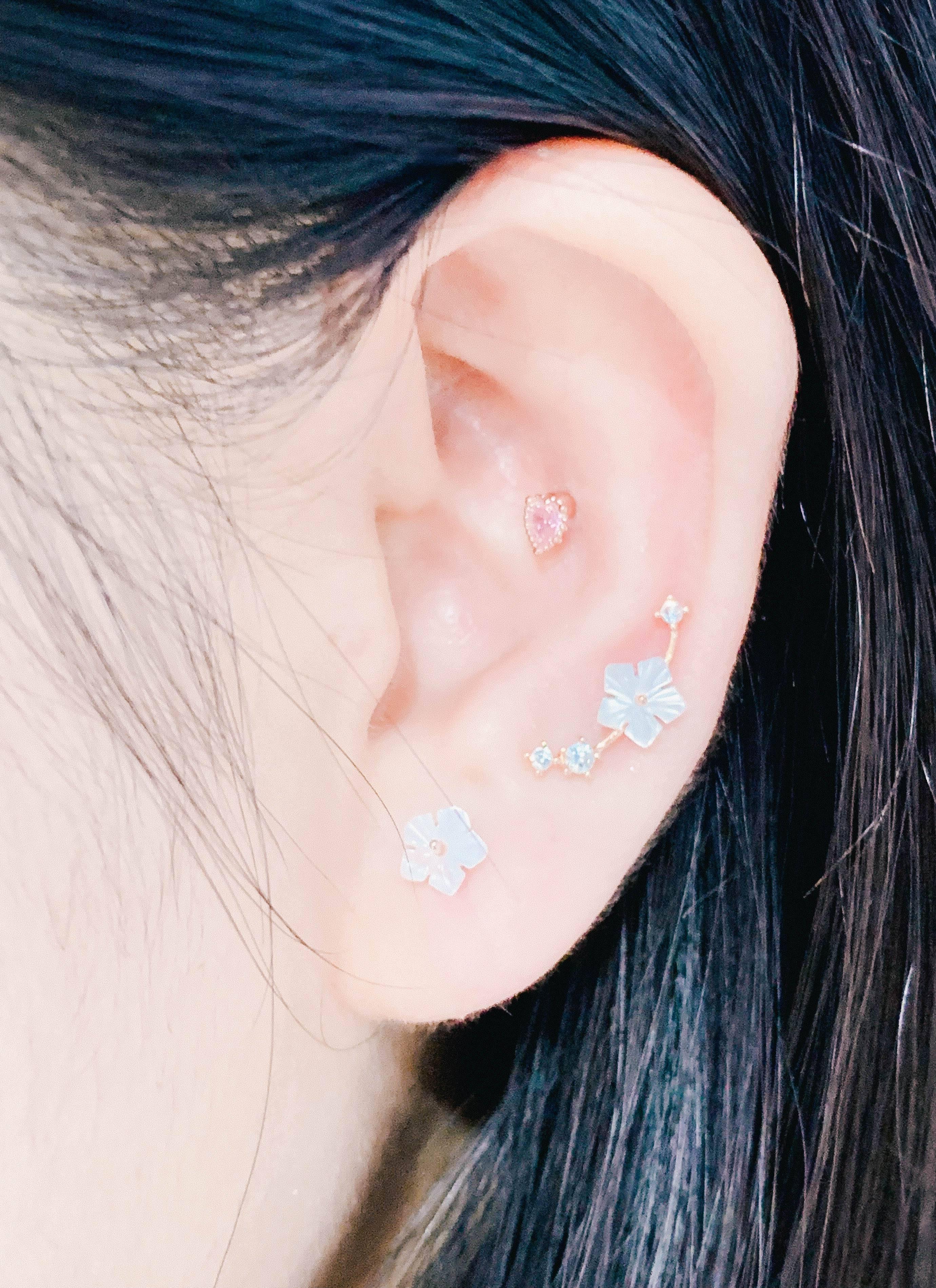 Sakura no Eda(ピアス/ピアッシング) Piercing anything else