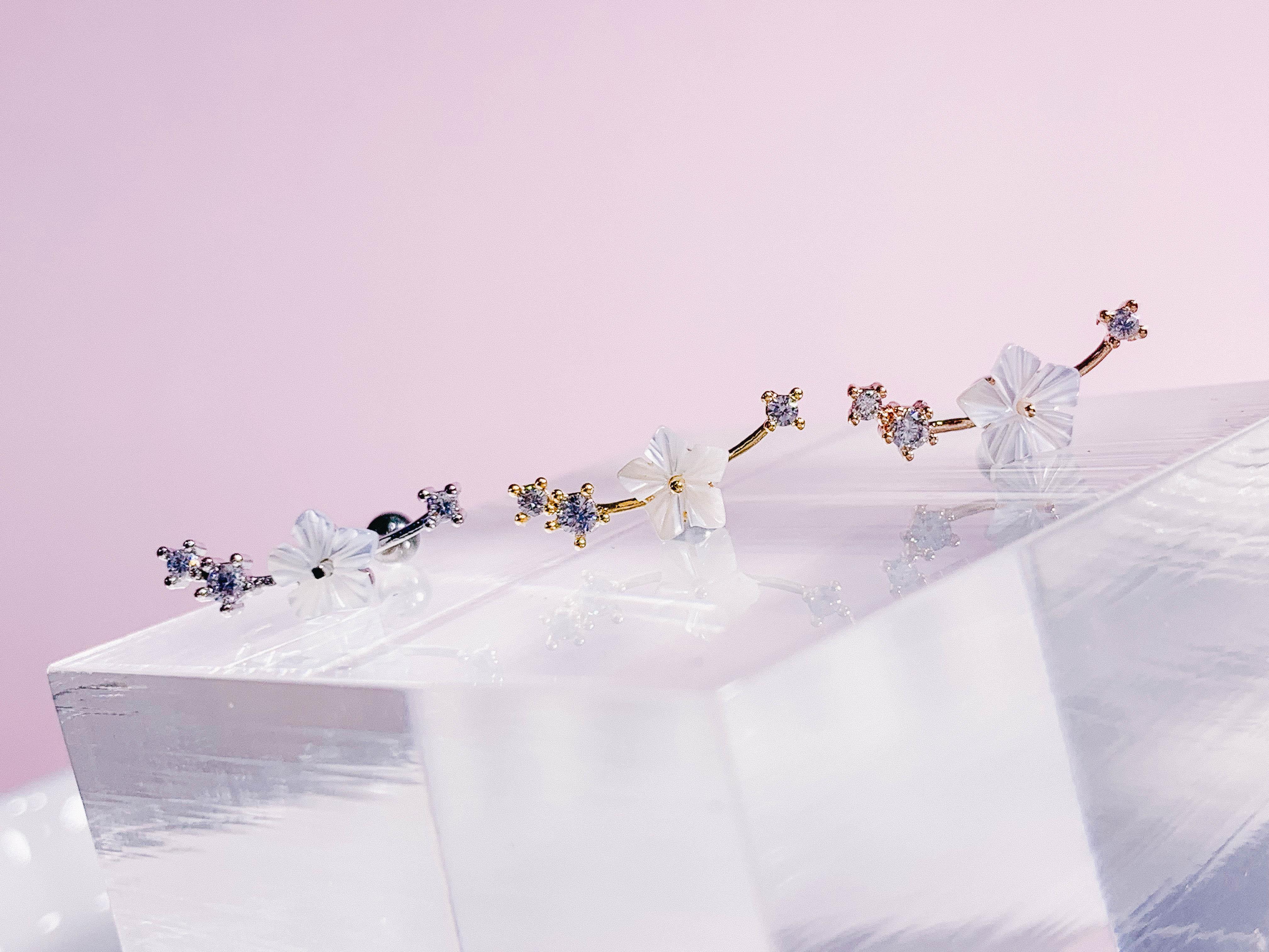 Sakura no Eda(ピアス/ピアッシング) Piercing anything else