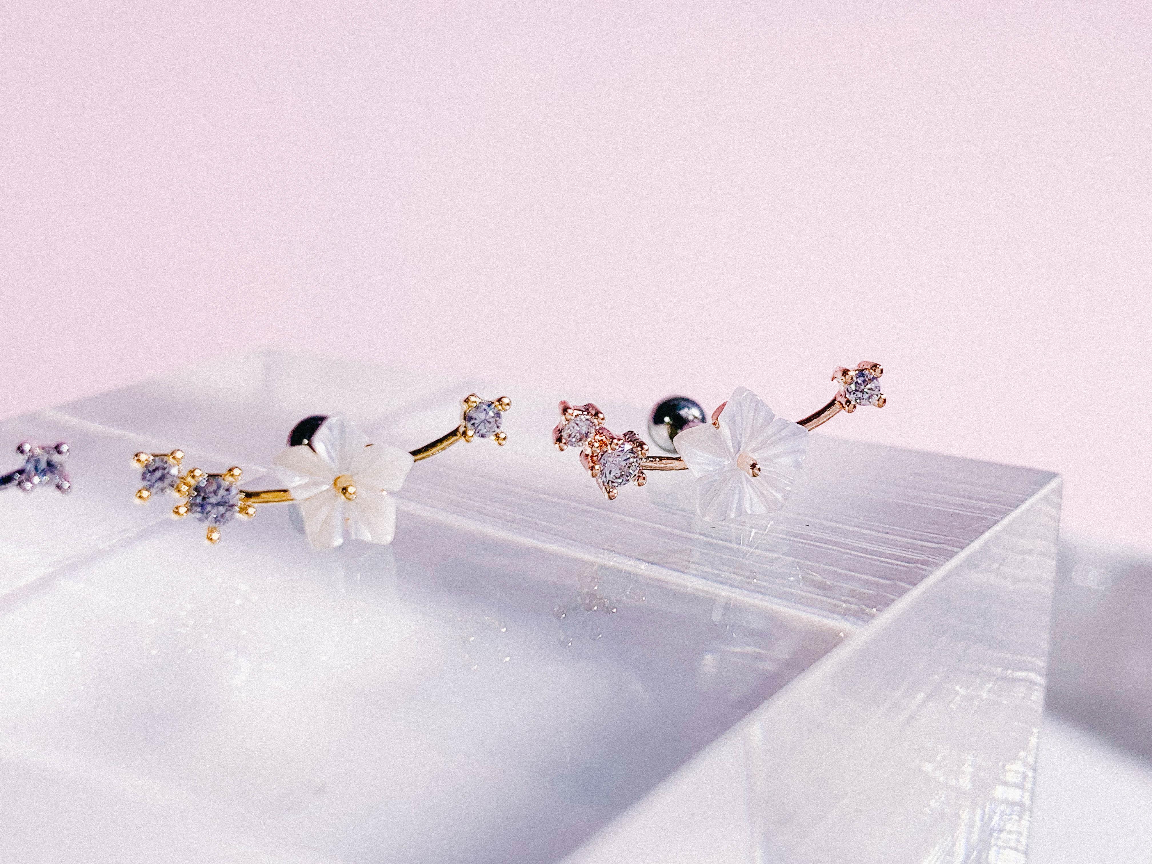 Sakura no Eda(ピアス/ピアッシング) Piercing anything else