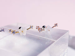 Sakura no Eda(ピアス/ピアッシング) Piercing anything else