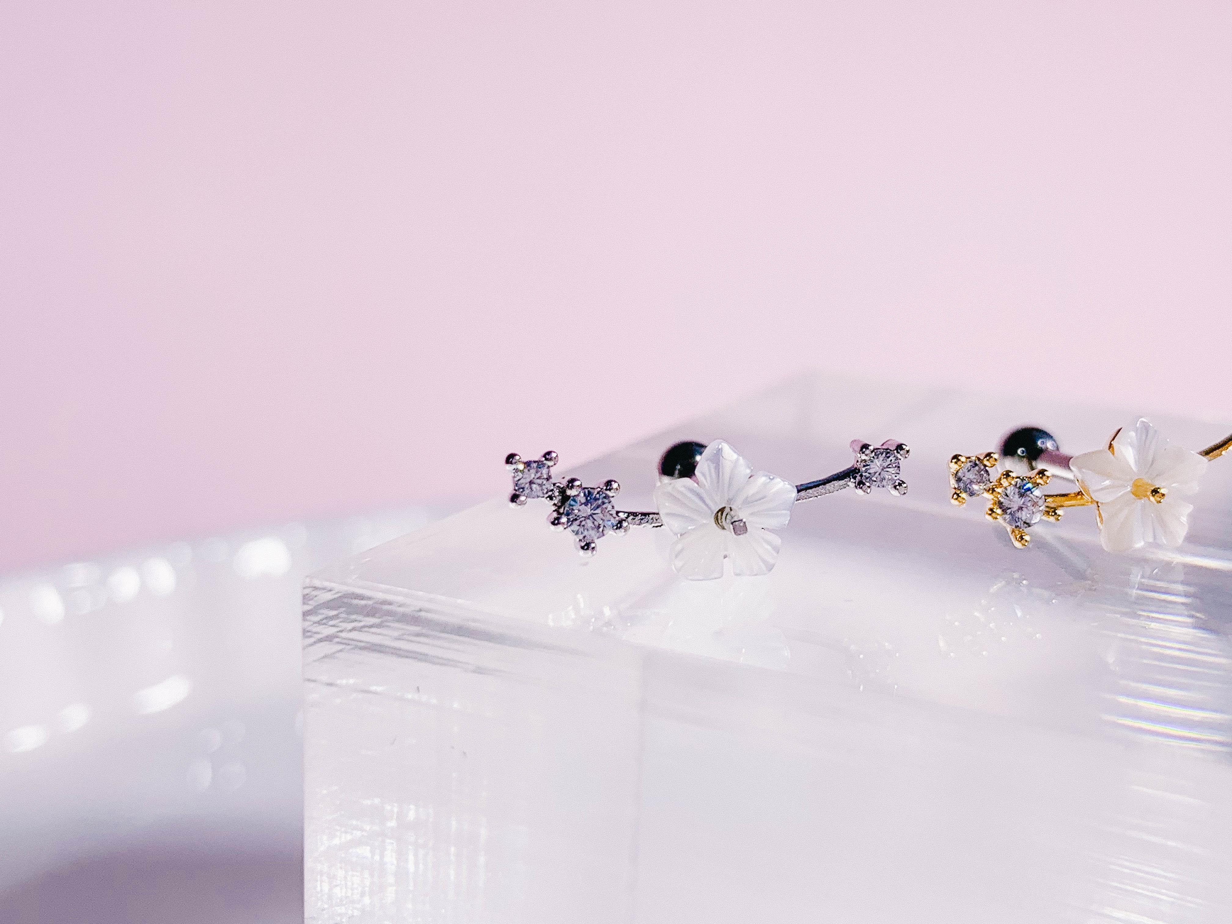 Sakura no Eda(ピアス/ピアッシング) Piercing anything else