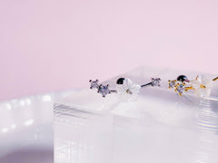 Sakura no Eda(ピアス/ピアッシング) Piercing anything else