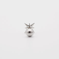 スピリットキラキラピアッシング Piercing 10000won