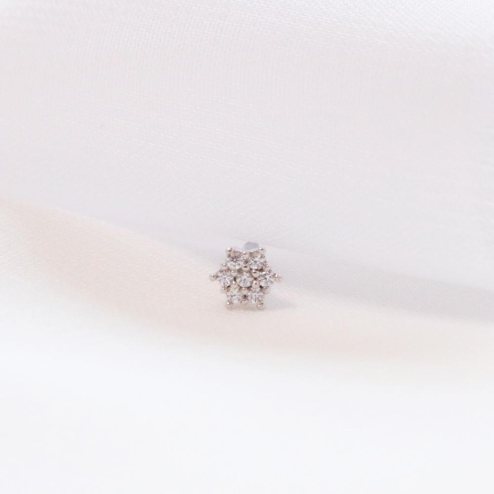 ウインター・ピアッシング Piercing bling moon