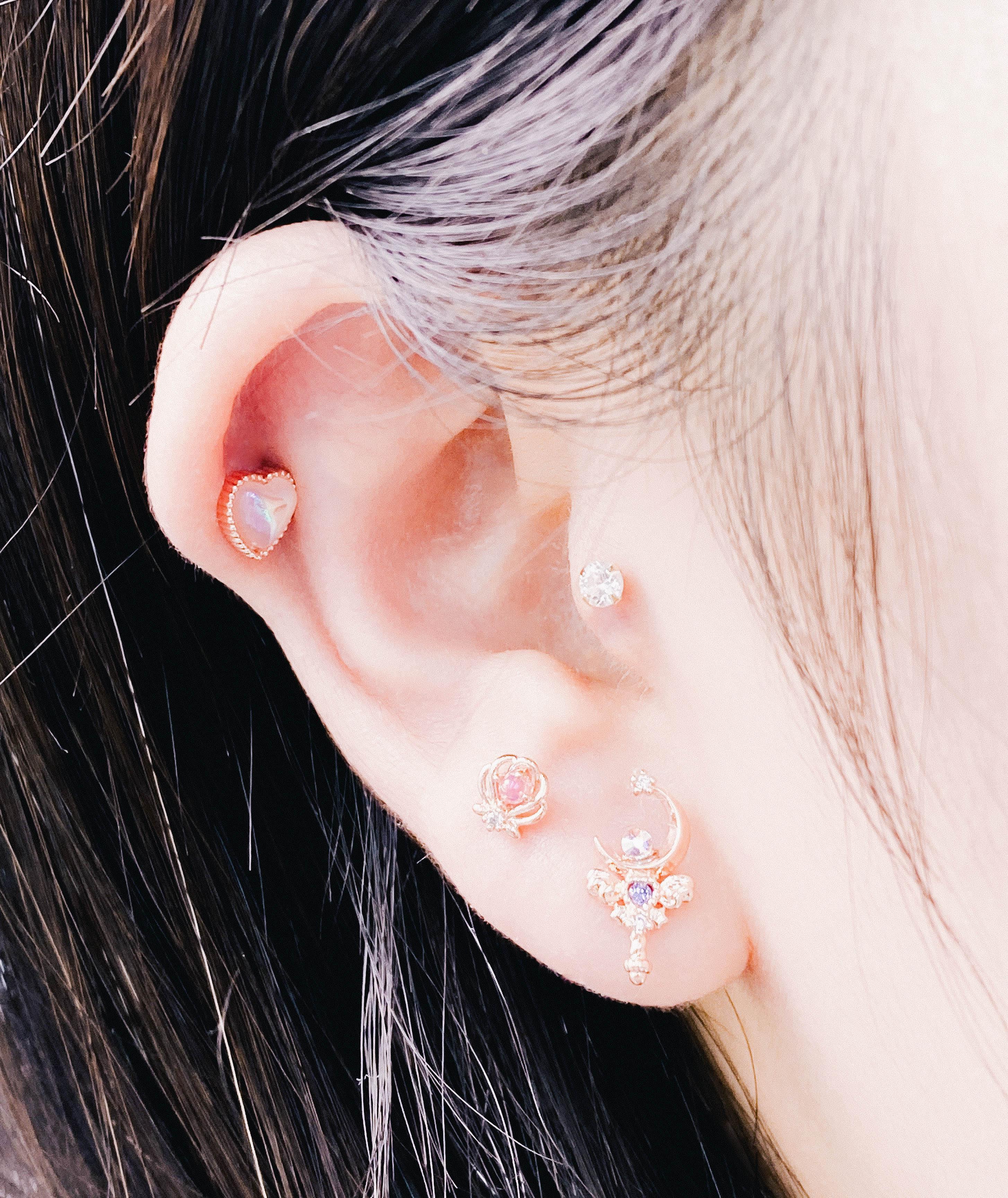 Unicorn (ピアス/ピアッシング) Piercing anything else