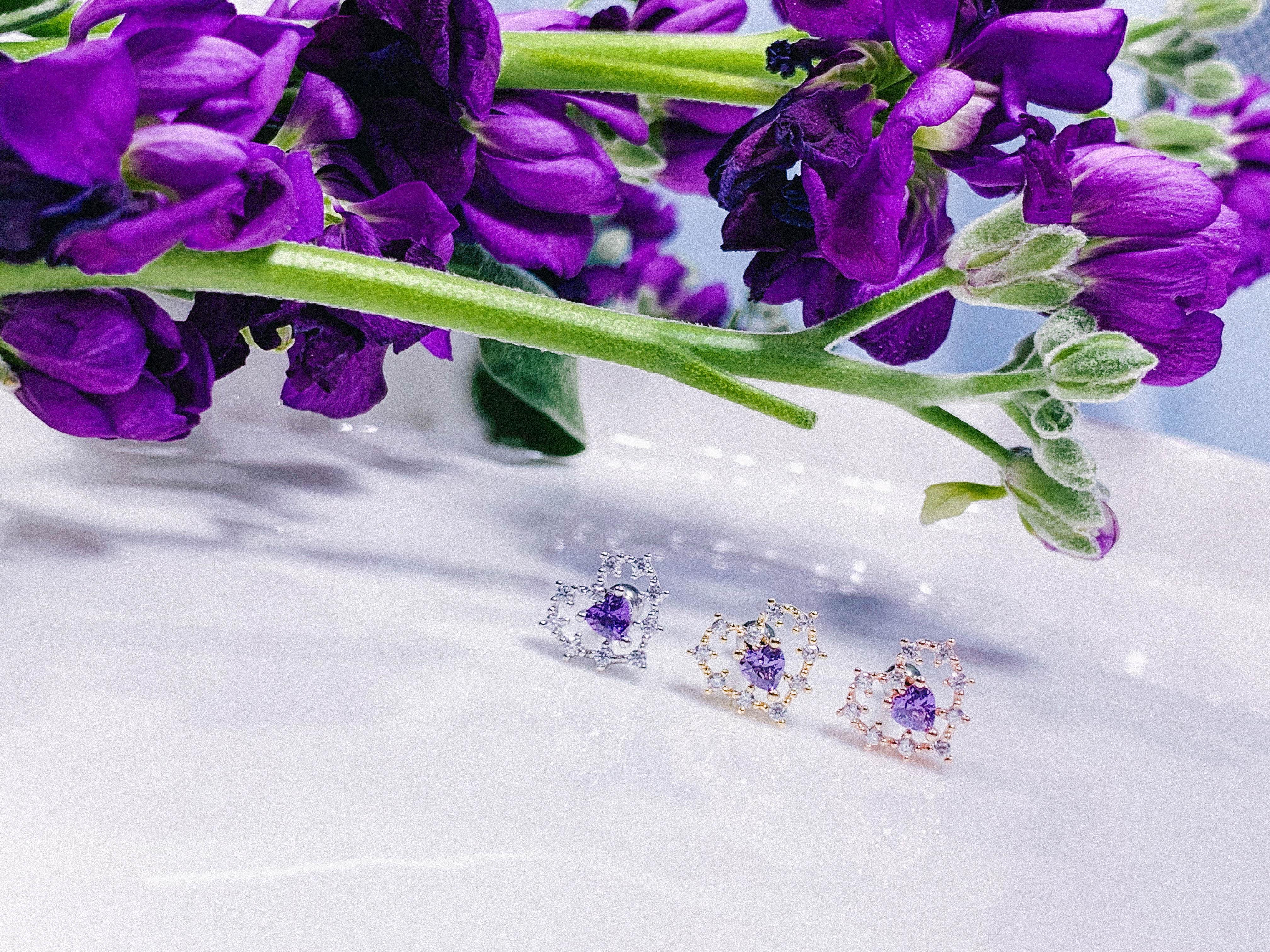 VIOLET Palace (ピアス/ピアッシング) Piercing anything else