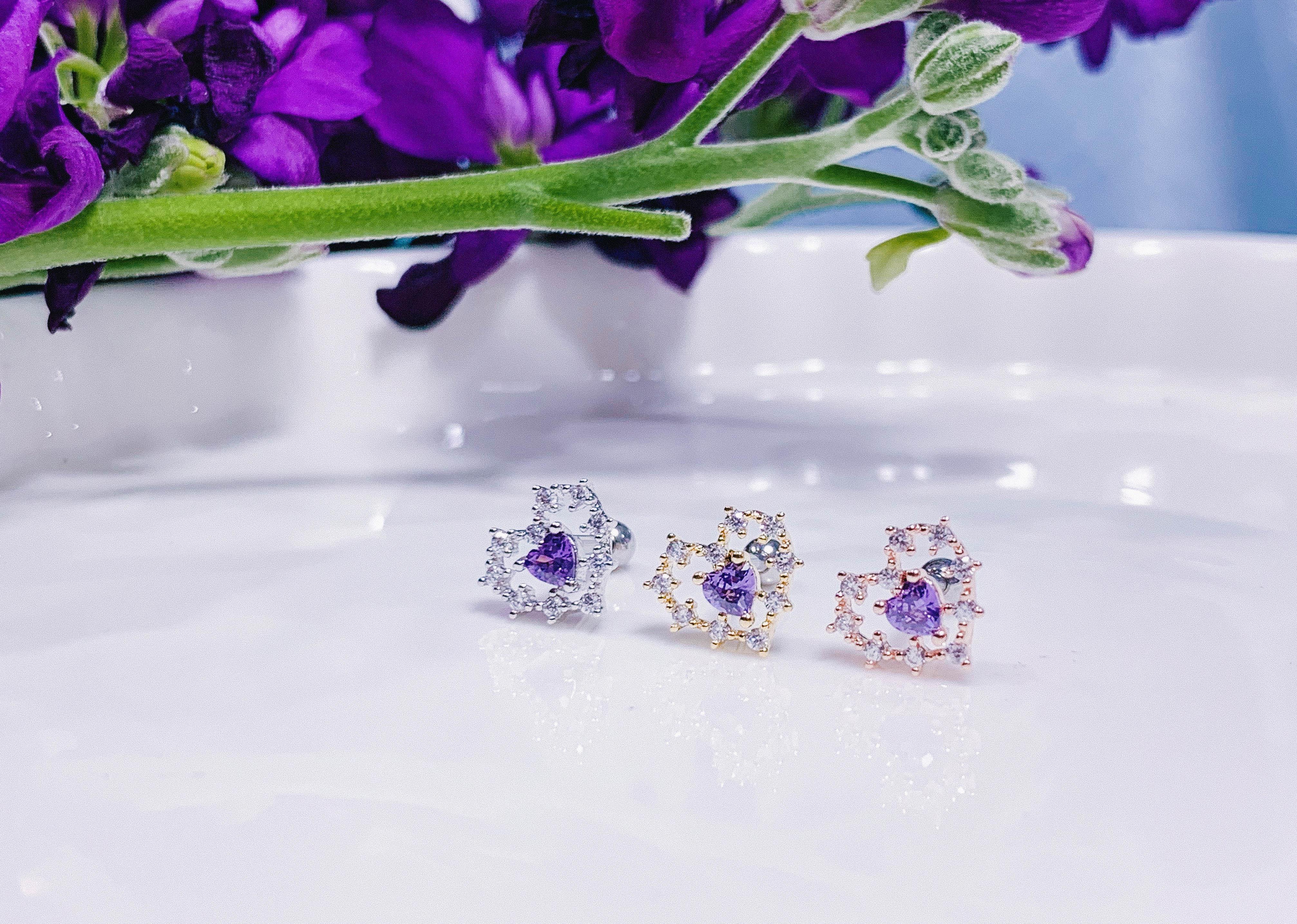 VIOLET Palace (ピアス/ピアッシング) Piercing anything else