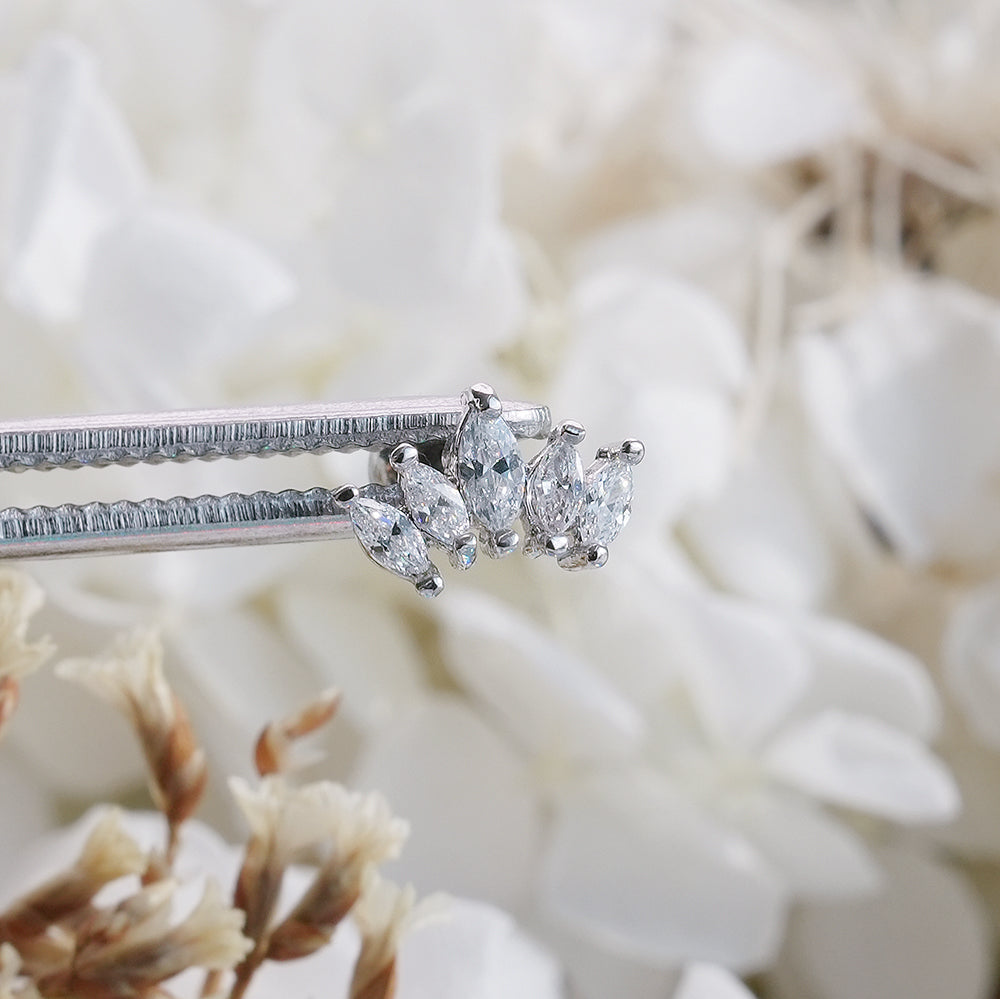 [Surgical] Simple Cubic Butterfly (4 Types) 16G/14G Body Piercing Collection Back Piercing Cartilage Piercing 