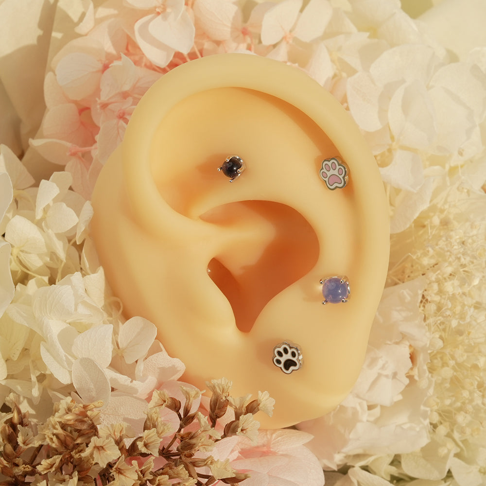 [Surgical] Simple Cubic Butterfly (4 Types) 16G/14G Body Piercing Collection เจาะหลัง เจาะกระดูกอ่อน 