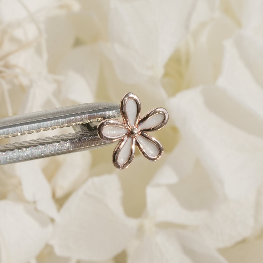 [Surgical] Simple Cubic Butterfly (4 Types) 16G/14G Body Piercing Collection Back Piercing Cartilage Piercing 