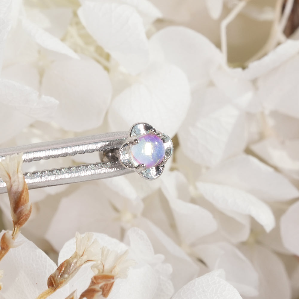 [Surgical] Simple Cubic Butterfly (4 Types) 16G/14G Body Piercing Collection เจาะหลัง เจาะกระดูกอ่อน 