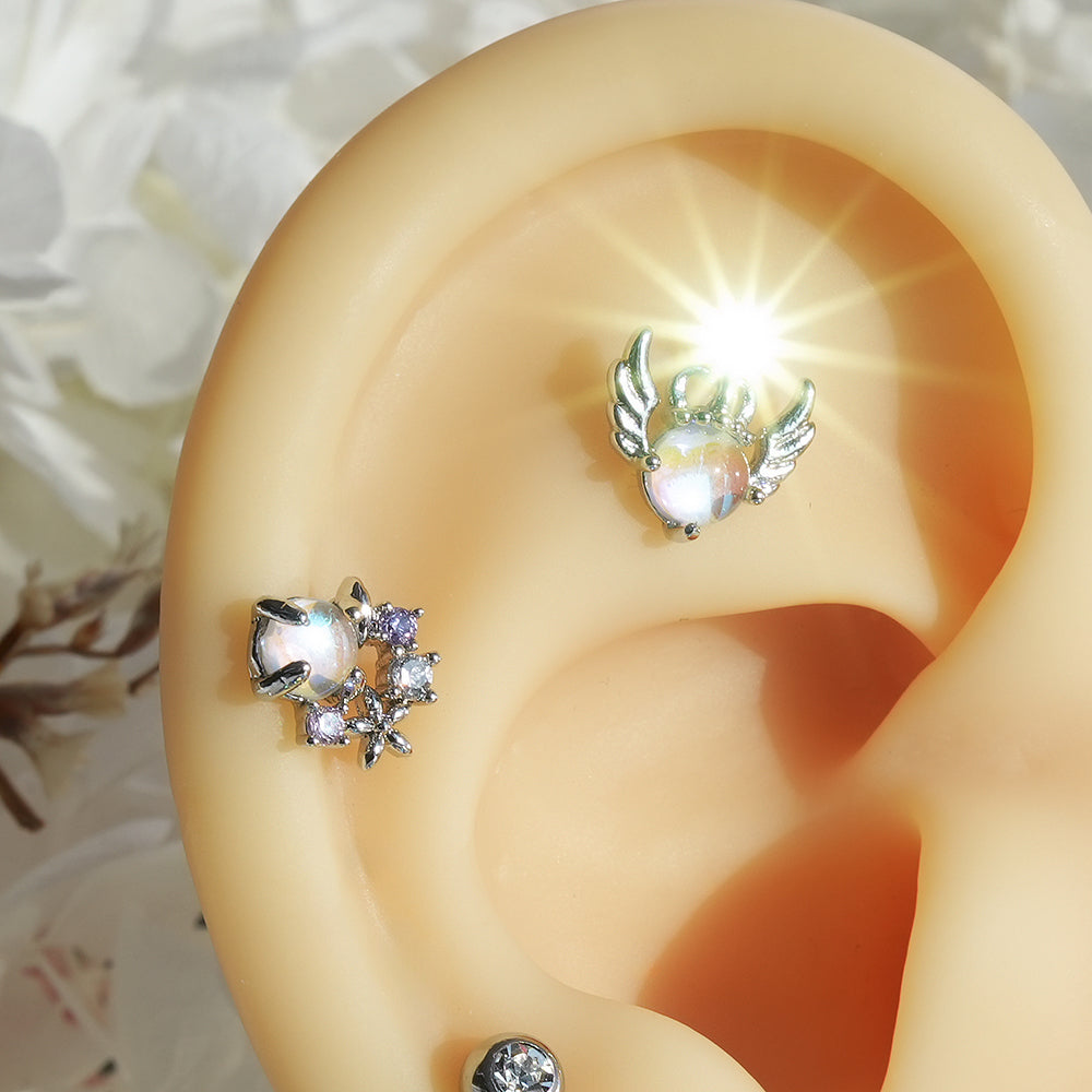 [Surgical] Simple Cubic Butterfly (4 Types) 16G/14G Body Piercing Collection Back Piercing Cartilage Piercing 