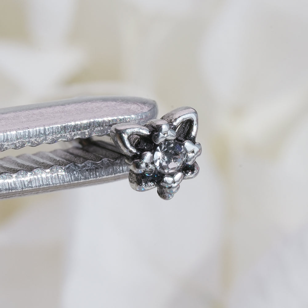 [Surgical] Simple Cubic Butterfly (4 Types) 16G/14G Body Piercing Collection Back Piercing Cartilage Piercing 