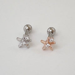 [サージカル]輝くミニスター＆キュービック (2Color) 16G ボディピアス キャッチ 軟骨ピアス