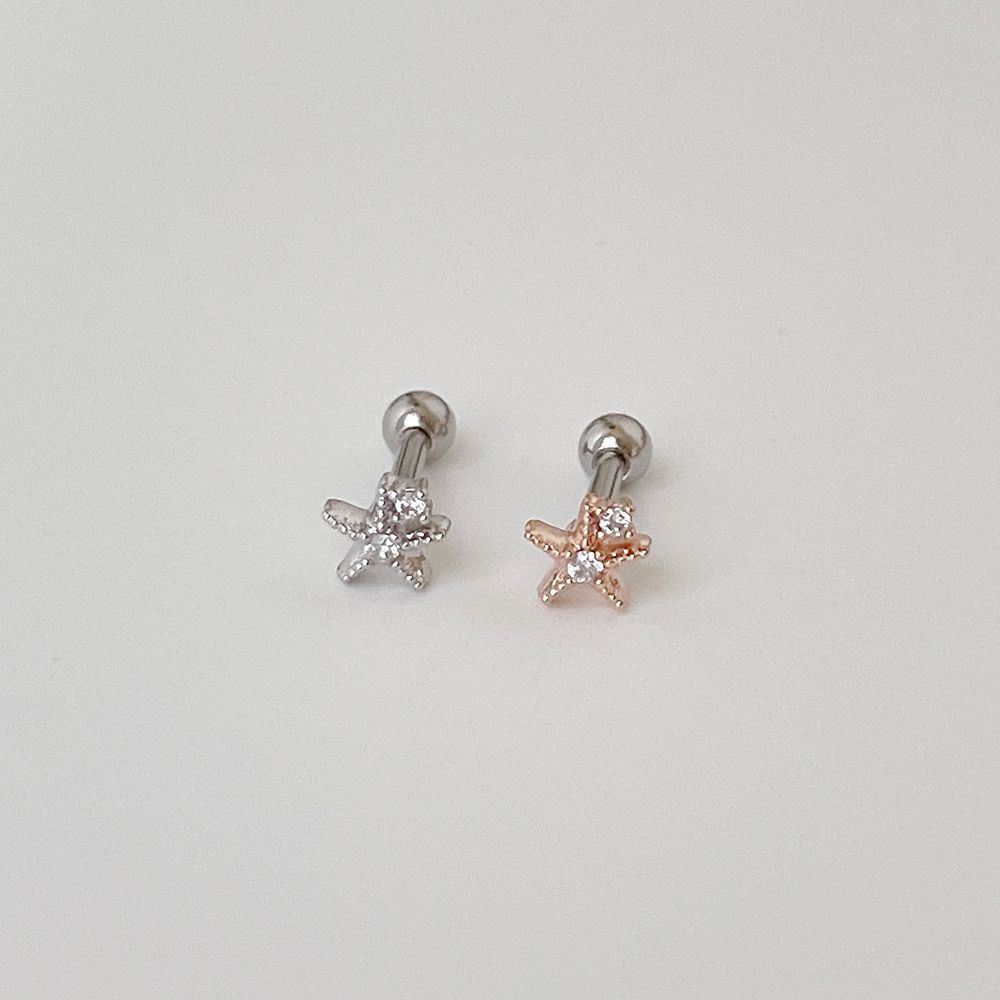 [サージカル]輝くミニスター＆キュービック (2Color) 16G ボディピアス キャッチ 軟骨ピアス