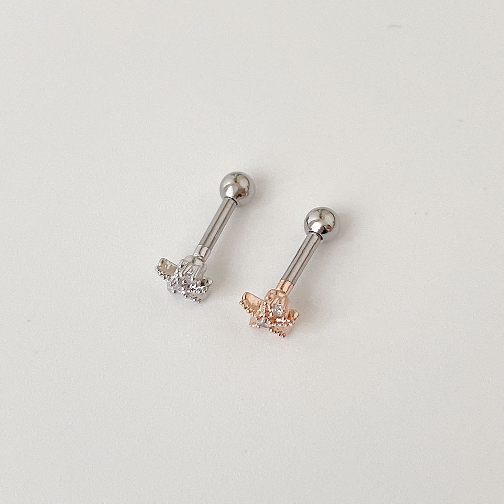 [サージカル]輝くミニスター＆キュービック (2Color) 16G ボディピアス キャッチ 軟骨ピアス