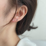 [925 Silver]カラー丸キュービックピアス Earrings 10000won 