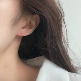 [925 Silver]カラー丸キュービックピアス Earrings 10000won 