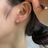[925 Silver]真珠の花ピアス[5セット] Earrings 10000won 