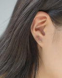 FLAT BUTTERFLY & BASIC EARRING SET [12個セット] Earrings pink-rocket 