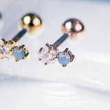 ガビ(ピアス/ピアッシング) Piercing anything else 