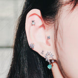 Season of Glitter (ピアス/ピアッシング) Piercing anything else 